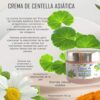CREMA ANTIESTRÍAS CENTELLA ASIÁTICA Y CÚRCUMA 50 GR - Image 2